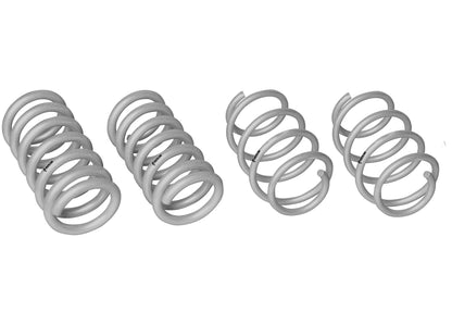 WL - Coil Springs - Lowered